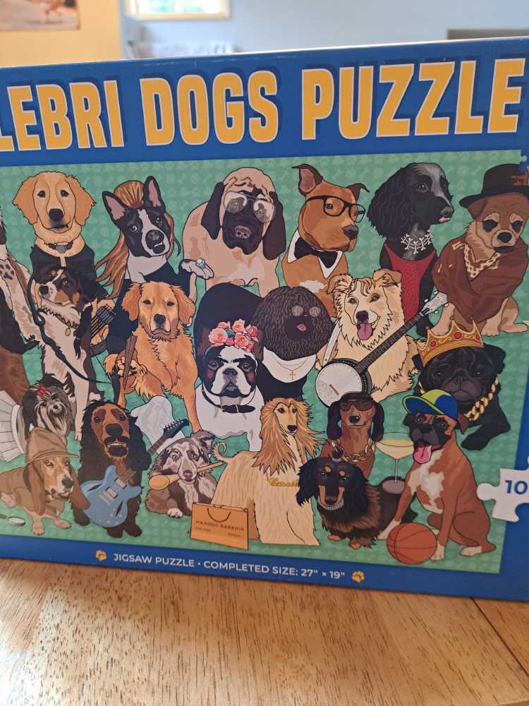 Kittens On A Field Trip