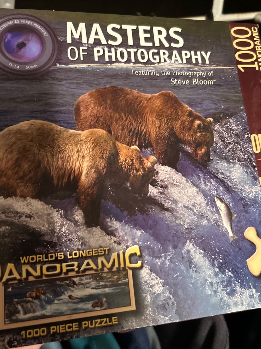 Thomas Kinkade: Painter of Light