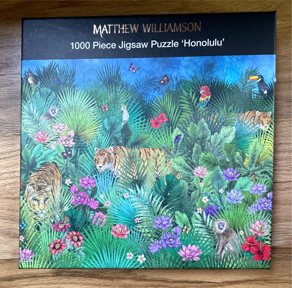 Vivid Collection : Hummingbird Garden