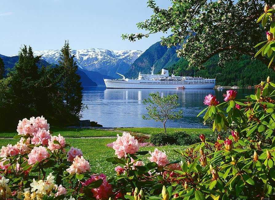 Cruise Boat Norway - Library puzzle collectible [Barcode 8710125057156] - Main Image 2