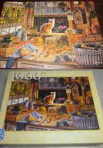 Bureau Des Curiosites