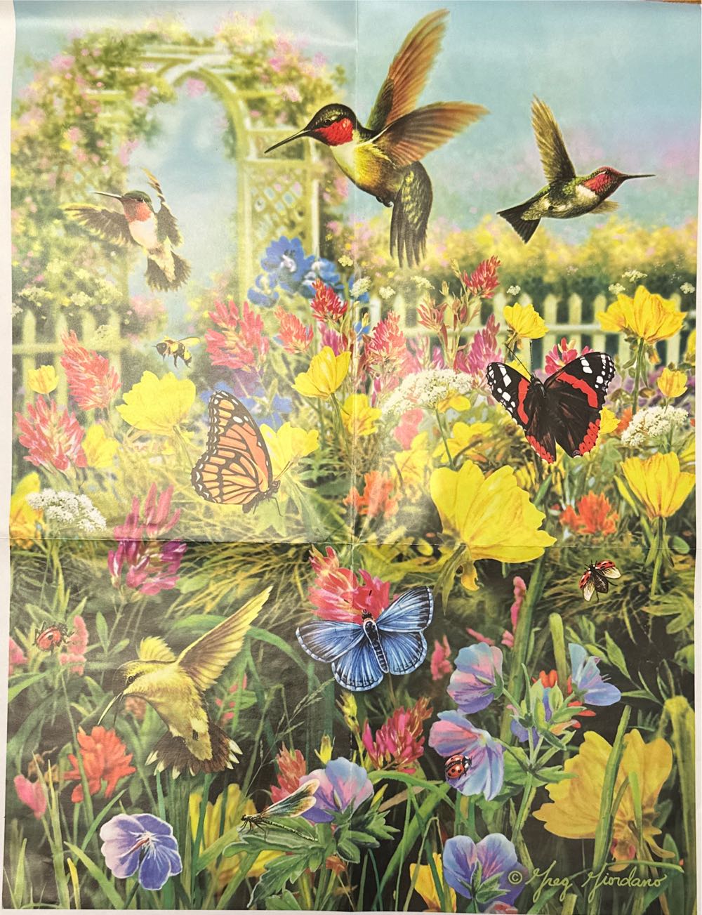 Hummingbirds and Arbor (UV) 🧩 - Karmin puzzle collectible [Barcode 789531957501] - Main Image 3
