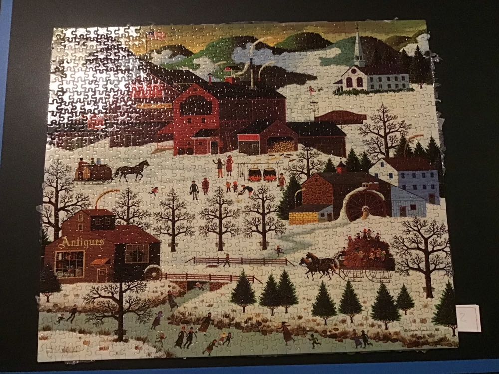 Dale Earnhardt Jr Nascar