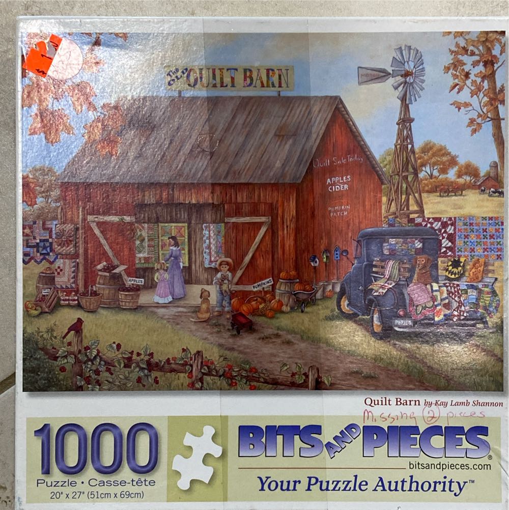 Hot Air Balloon Race