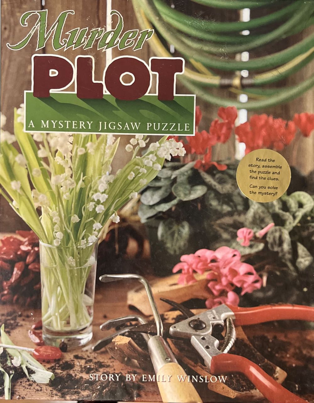 Ricefields And Torinomachi Festival