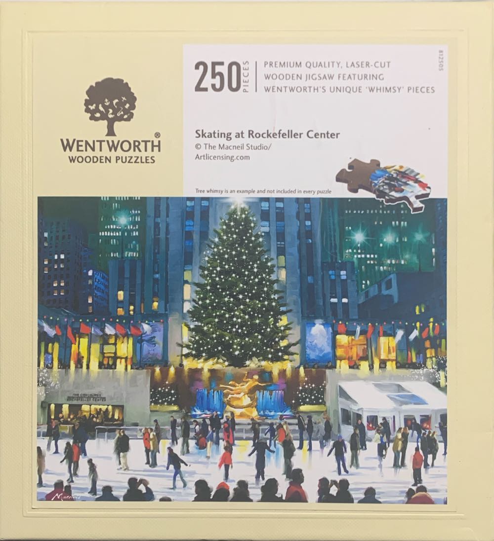 Border Collie On Guard