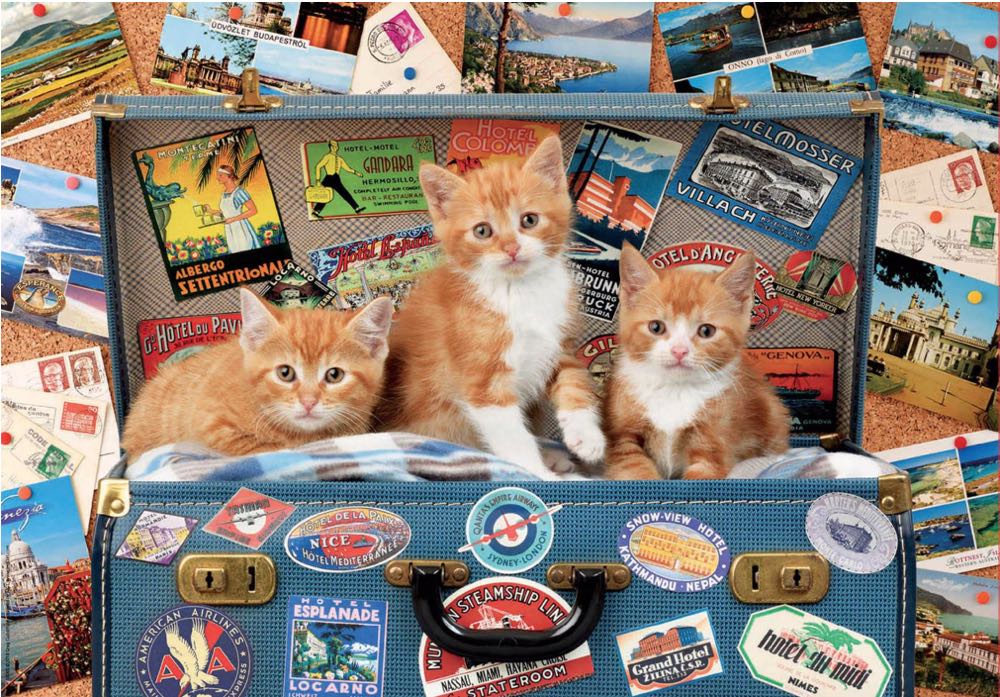 Travelling Kittens 🟦 - Educa puzzle collectible [Barcode 8412668180659] - Main Image 2