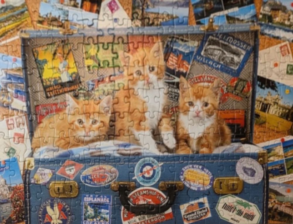 Travelling Kittens 🟦 - Educa puzzle collectible [Barcode 8412668180659] - Main Image 3