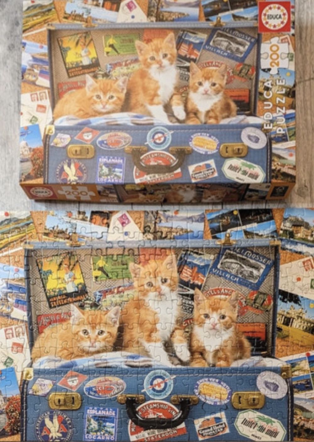 Travelling Kittens 🟦 - Educa puzzle collectible [Barcode 8412668180659] - Main Image 4