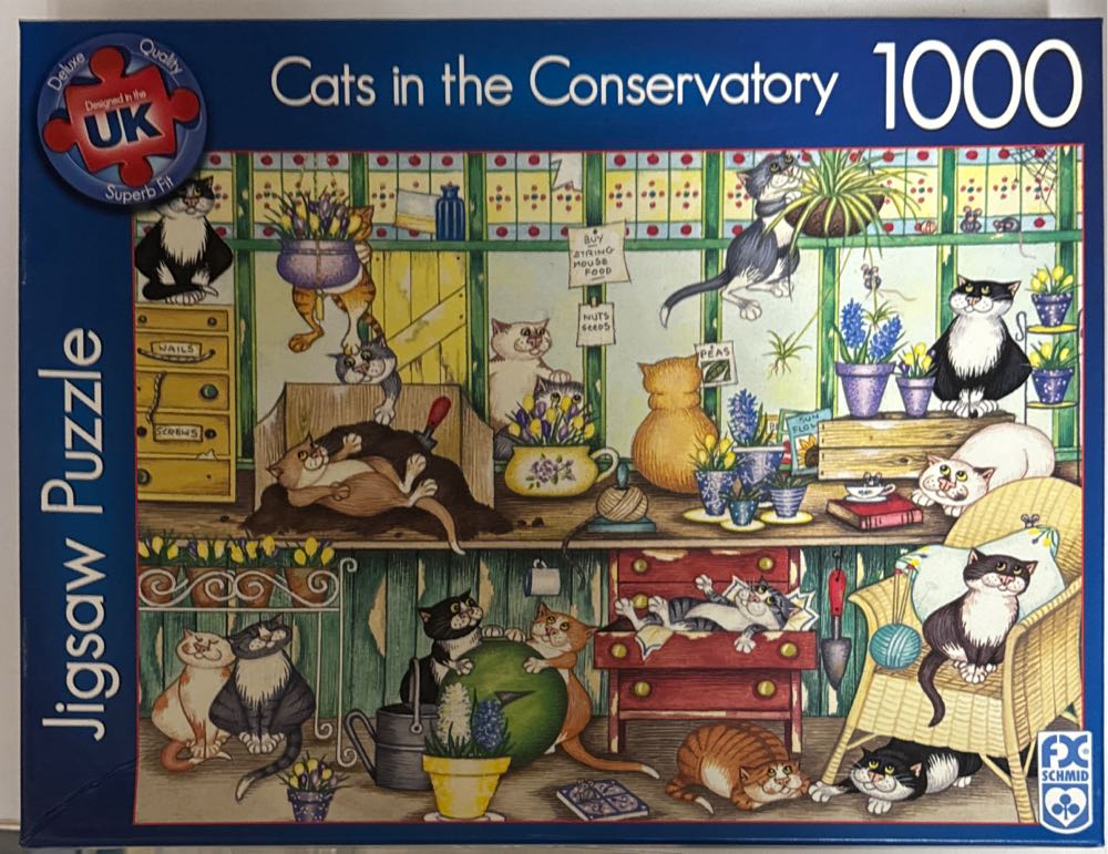 Five Weeks in a Balloon