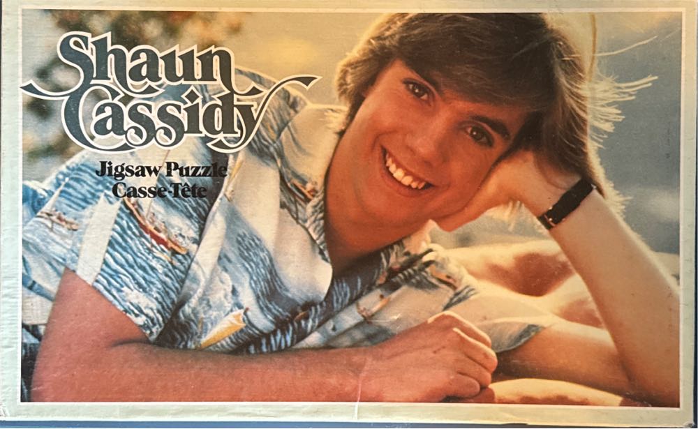 Boys Scouts Norman Rockwell Sealed