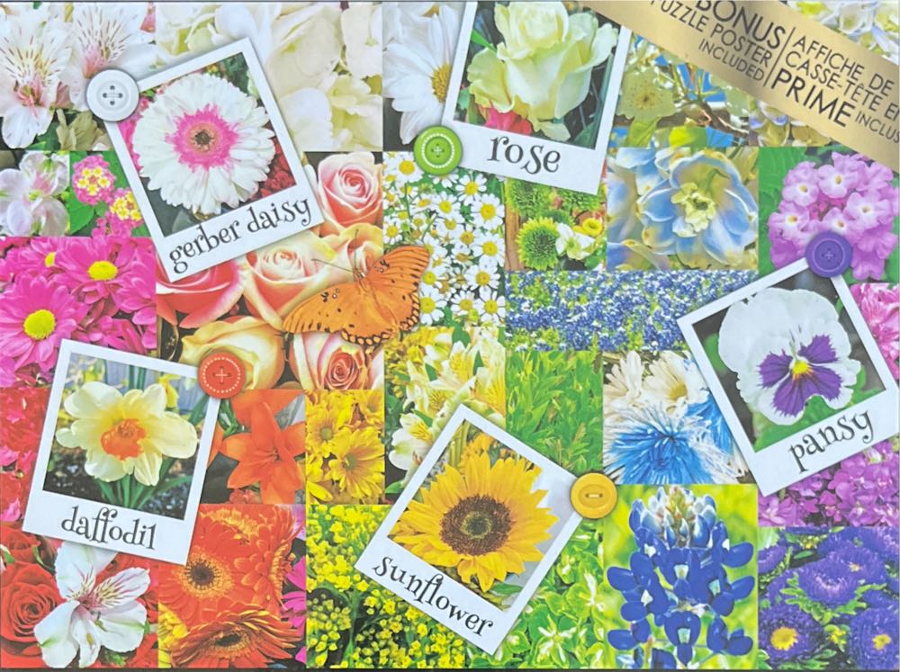 Rainbow Flowers - CraZArt puzzle collectible [Barcode 4895145435109] - Main Image 1