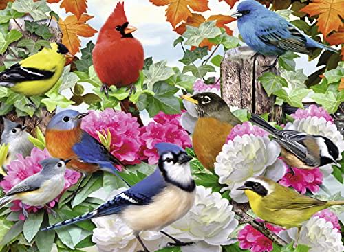 Garden Birds