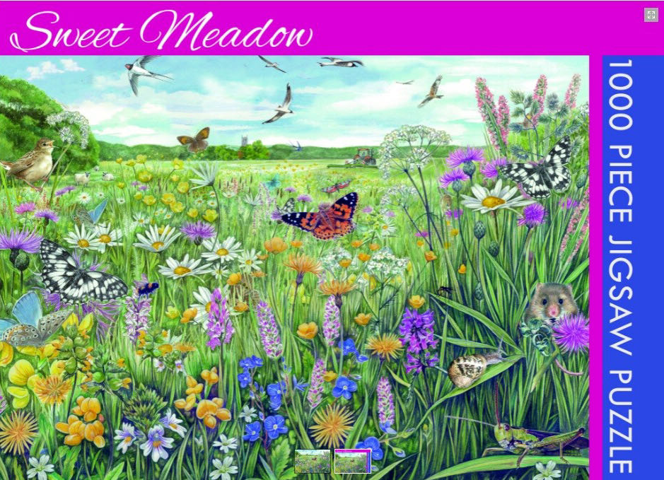 Sweet Meadow - Gifted Stationary Co puzzle collectible [Barcode 9781800548046] - Main Image 2