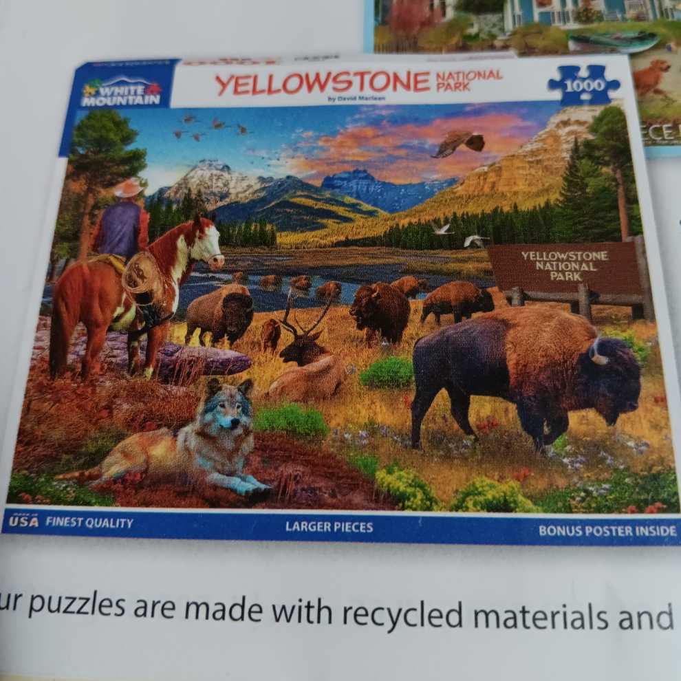 That’s Life Gallery Edition: Johannes Vermeer