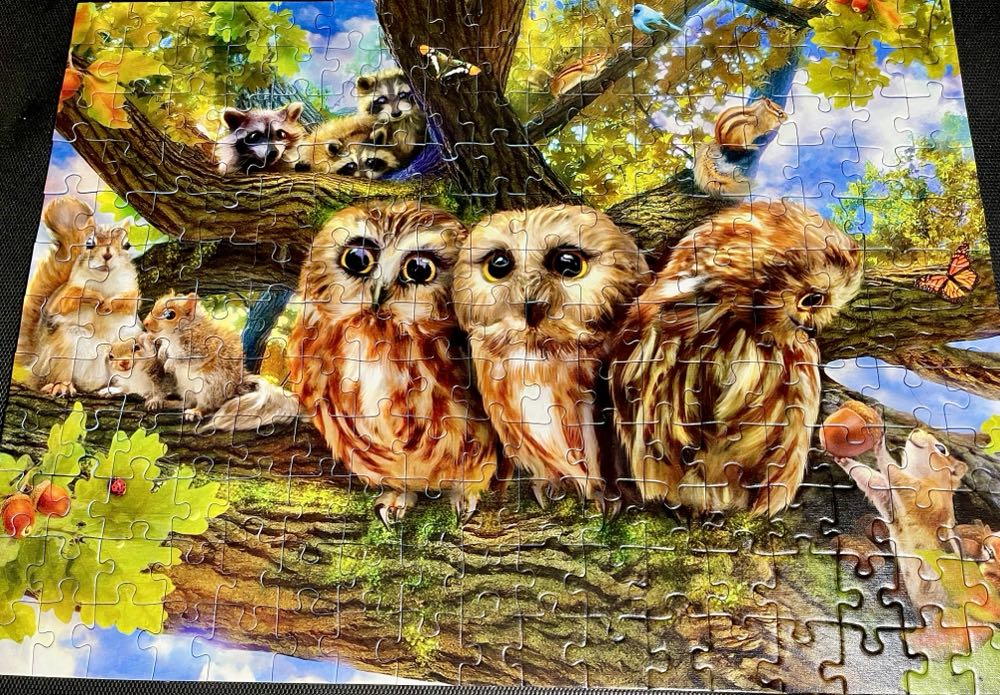 Woodland Neighbours - Ravensburger puzzle collectible [Barcode 4005556127467] - Main Image 3