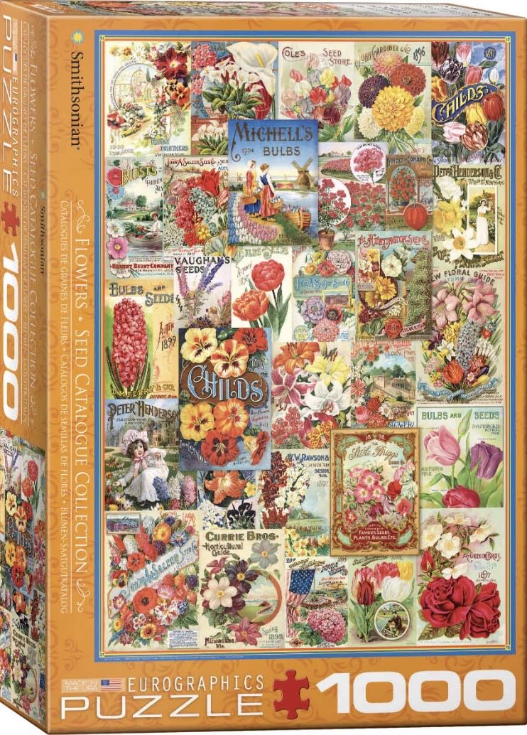 The Seasons Spring 🐦 🔴