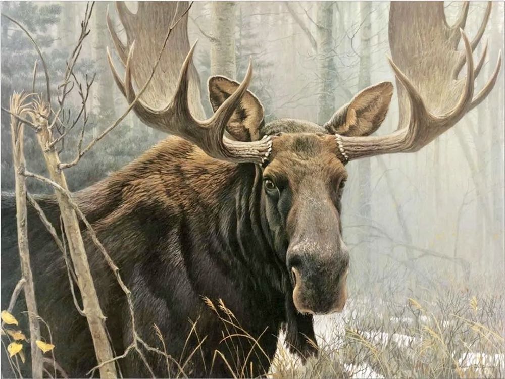 Bull Moose  (UV) NFT 🫎 - Cobble Hill puzzle collectible [Barcode 625012450515] - Main Image 2