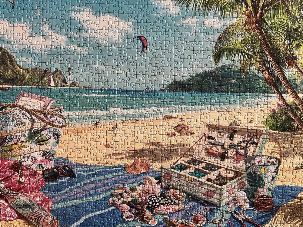 The Shell Collector - Ravensburger Completed puzzle collectible [Barcode 4005555004257] - Main Image 2