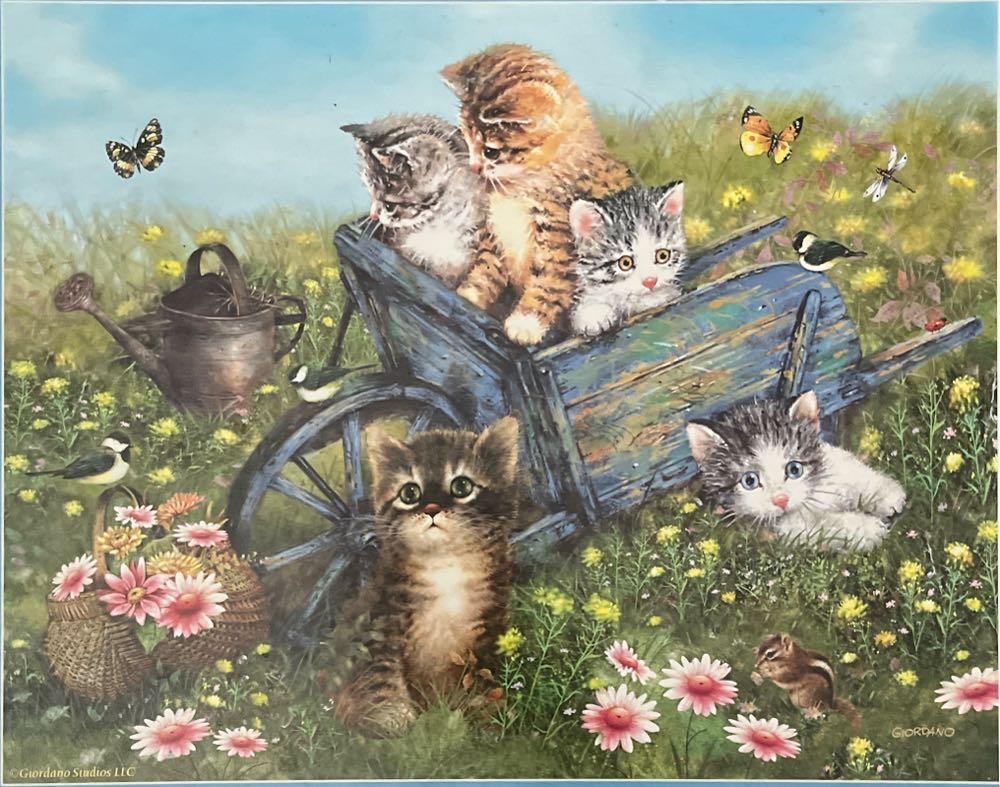 History Of Aviation (24BC-0002)