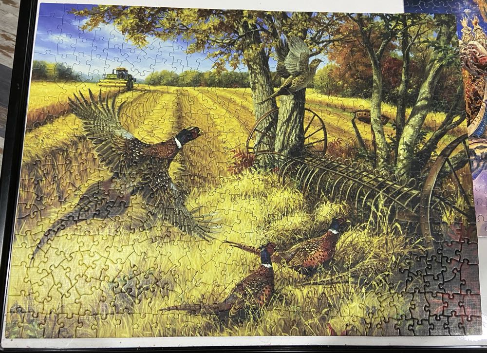 It’s Good To Be Queen