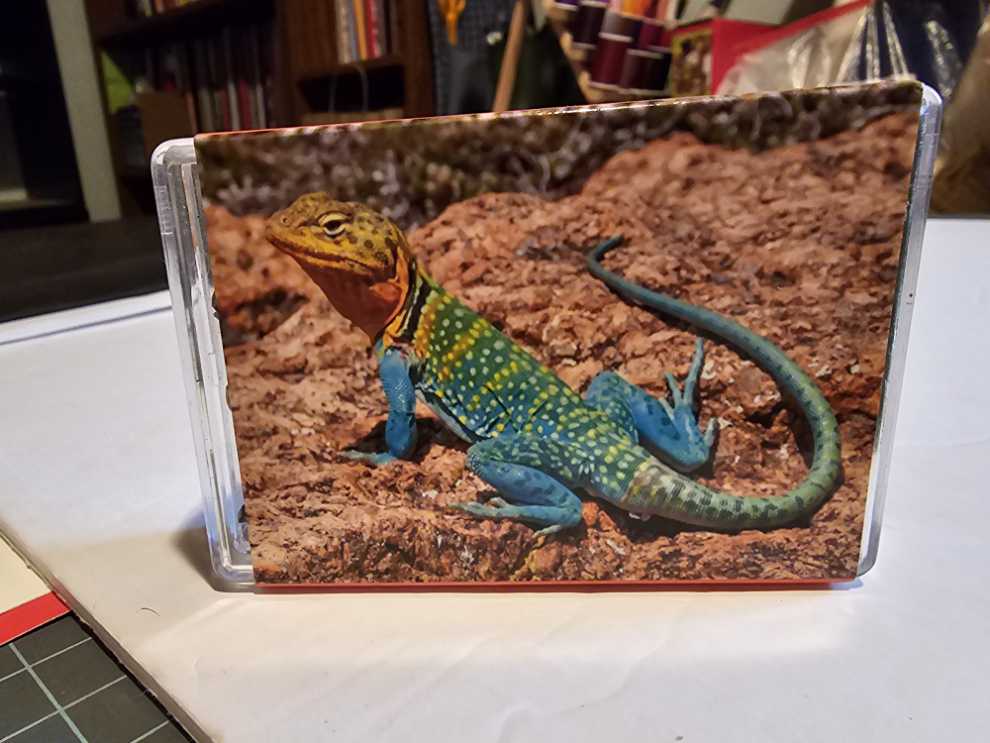 Collared Lizard Mini - Minipix Puzzle puzzle collectible [Barcode 653370416324] - Main Image 2