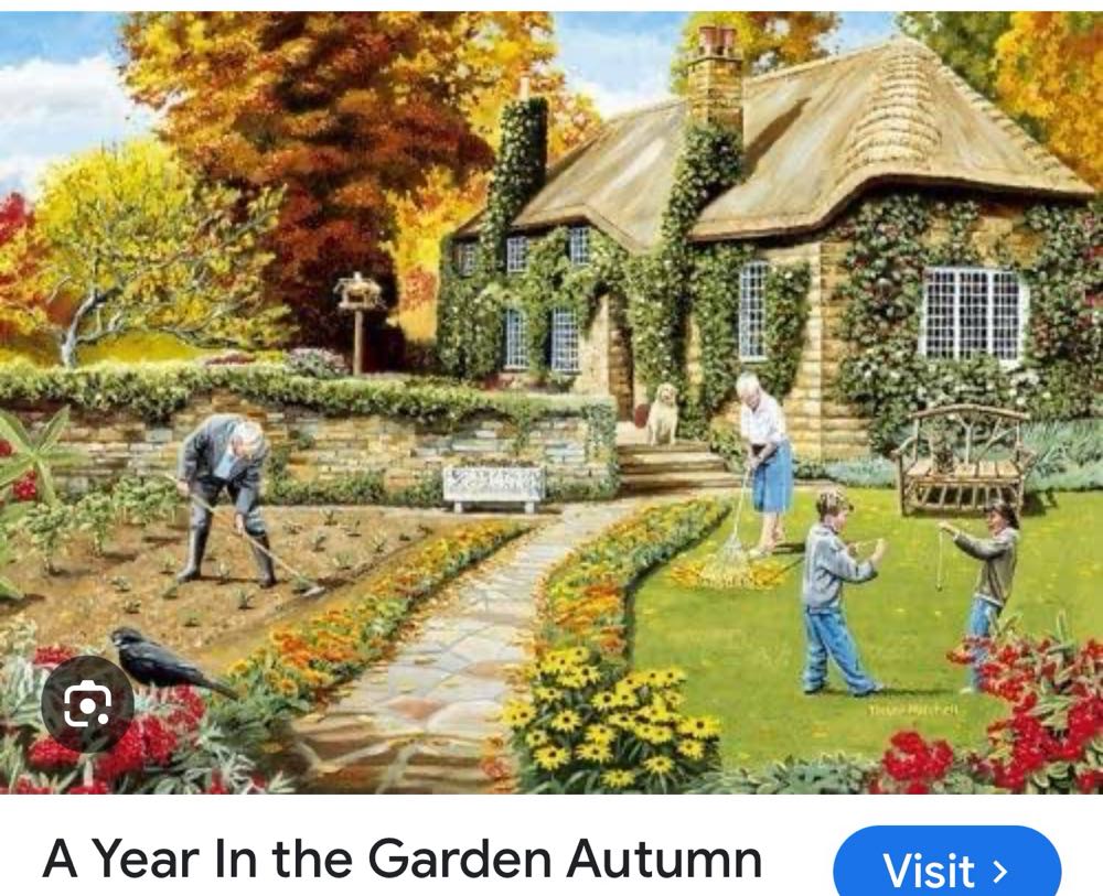 The Christmas Tree Lot