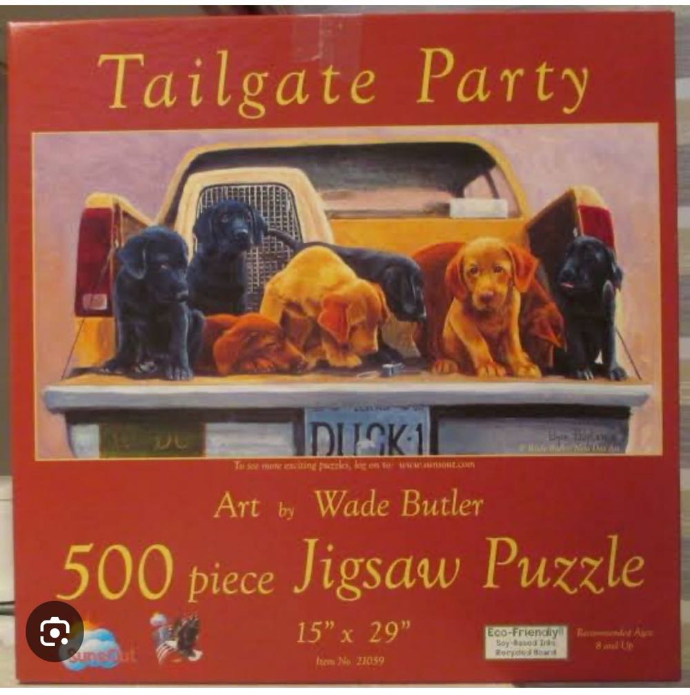 Lake Superior Agates 500 Pieces 18” X 24” Made In