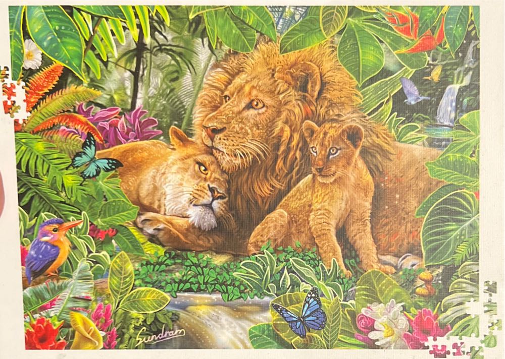 Arabian Thoroughbred