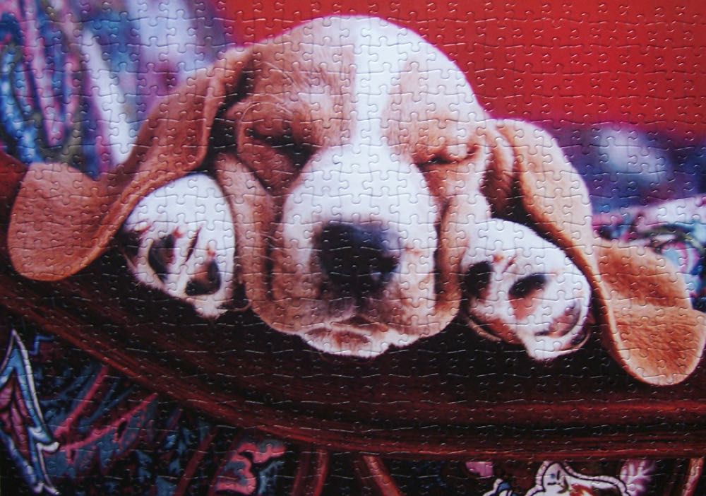 Spongebob At The Beach 