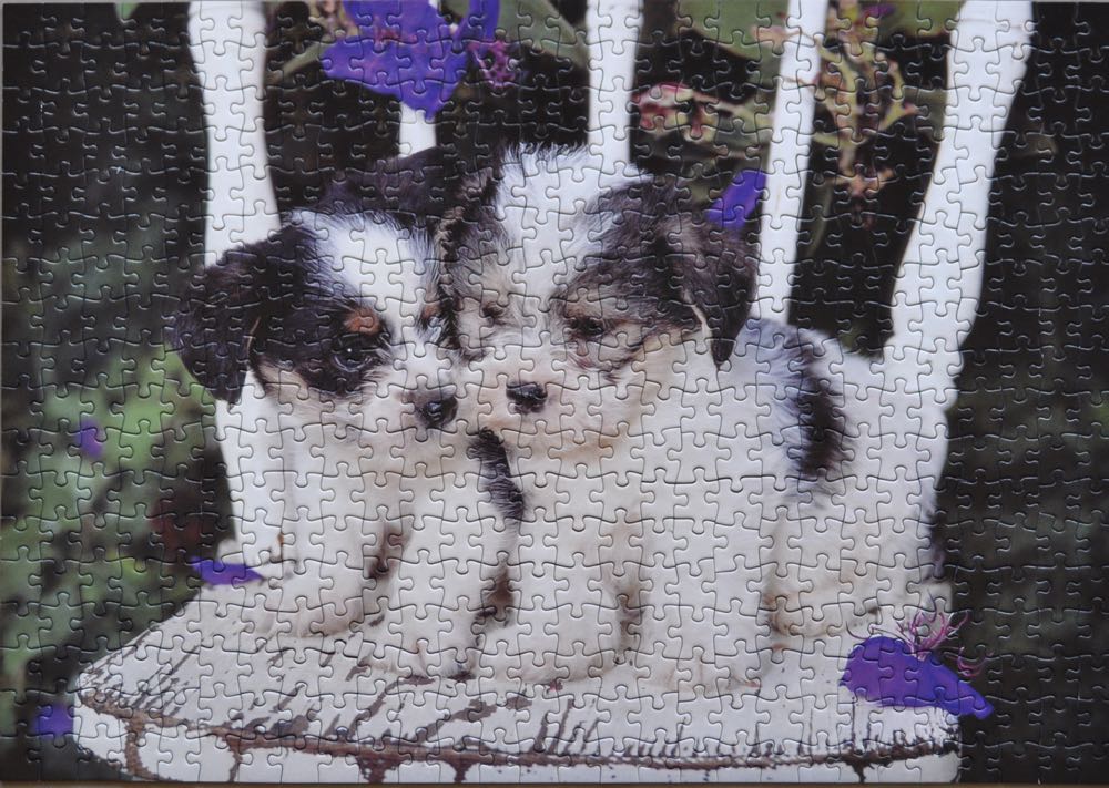 Mickey Mouse in Two Gun Show