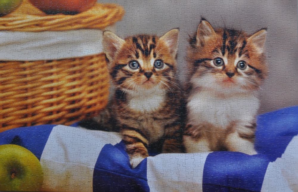 Steeped In Tradition