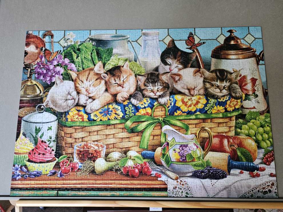 Napping Kittens - Castorland puzzle collectible [Barcode 5904438105069] - Main Image 2