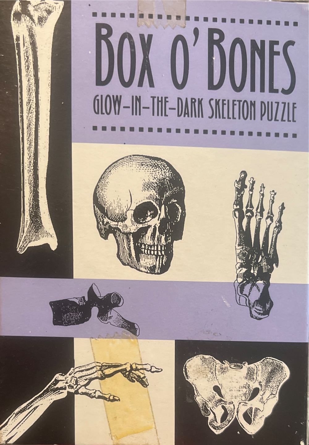 Esqueleto Para Montar Que Brilla En La Oscuridad  puzzle collectible [Barcode 739048098945] - Main Image 2