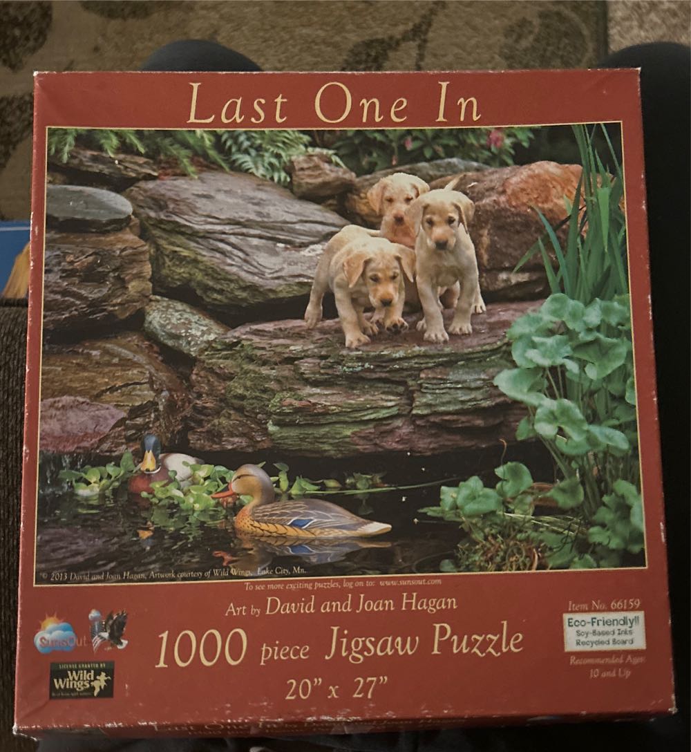 Last One In - SunsOut puzzle collectible [Barcode 796780661592] - Main Image 2