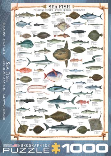 Harry Potter: Christmas In The Wizarding World