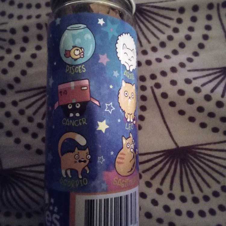 Playtime In The Study