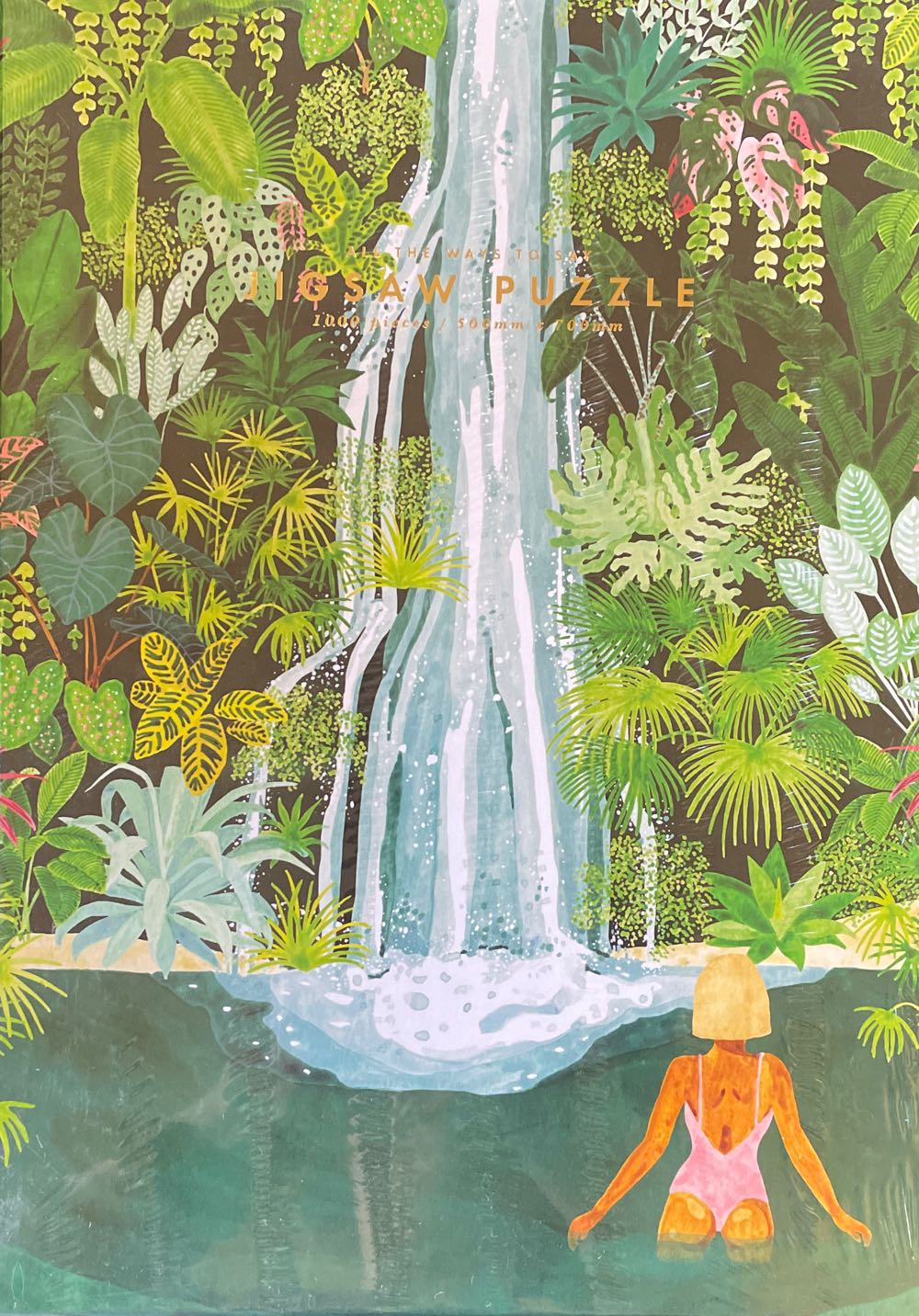 Micro Puzzle Ramen Flavor