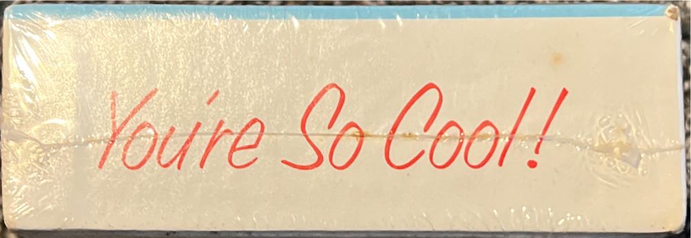 You’re So Cool - NEW - Springbok puzzle collectible - Main Image 2