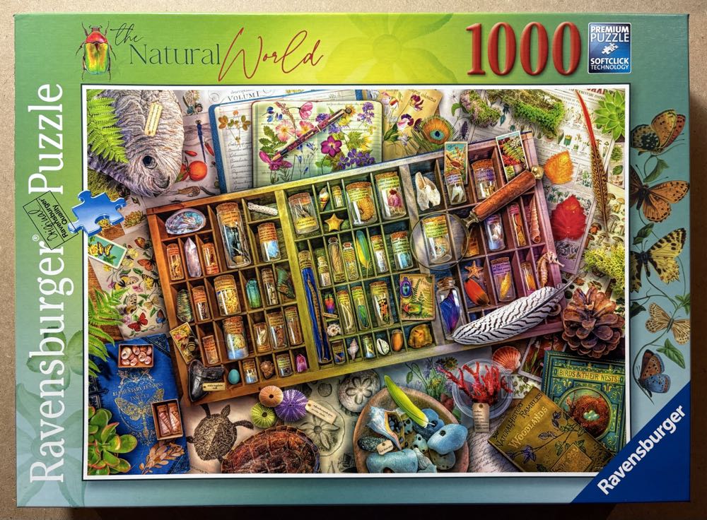 Sunshine At The Seaside