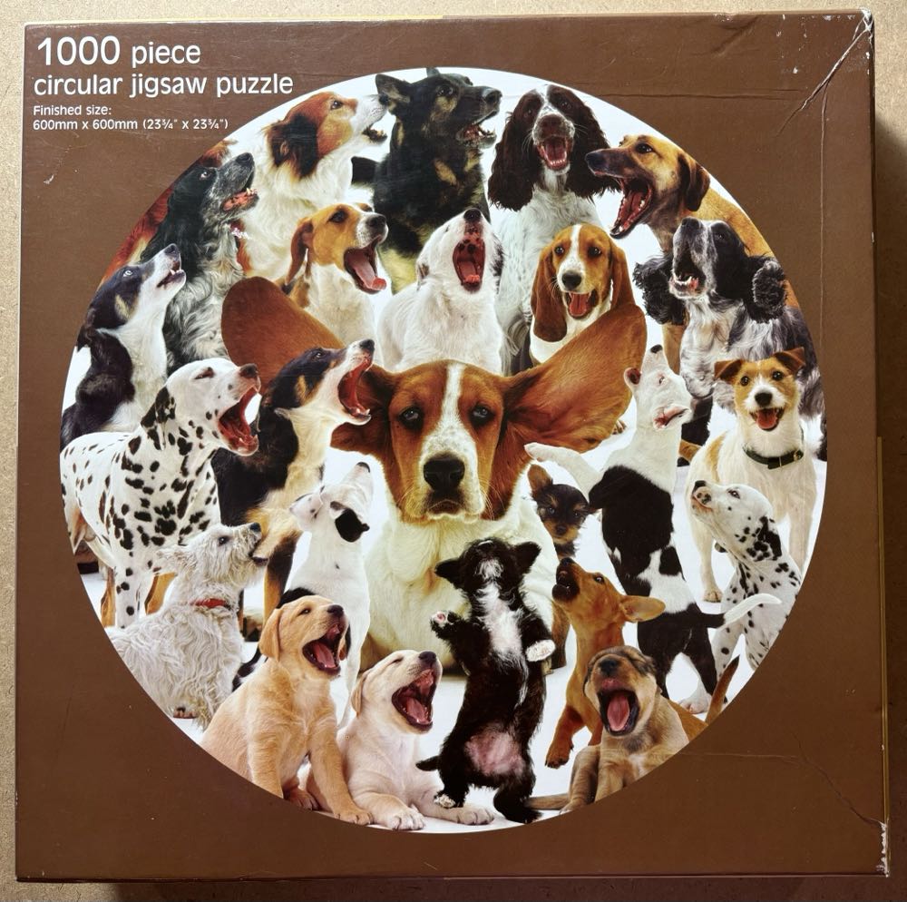 The Curator Washington Poe