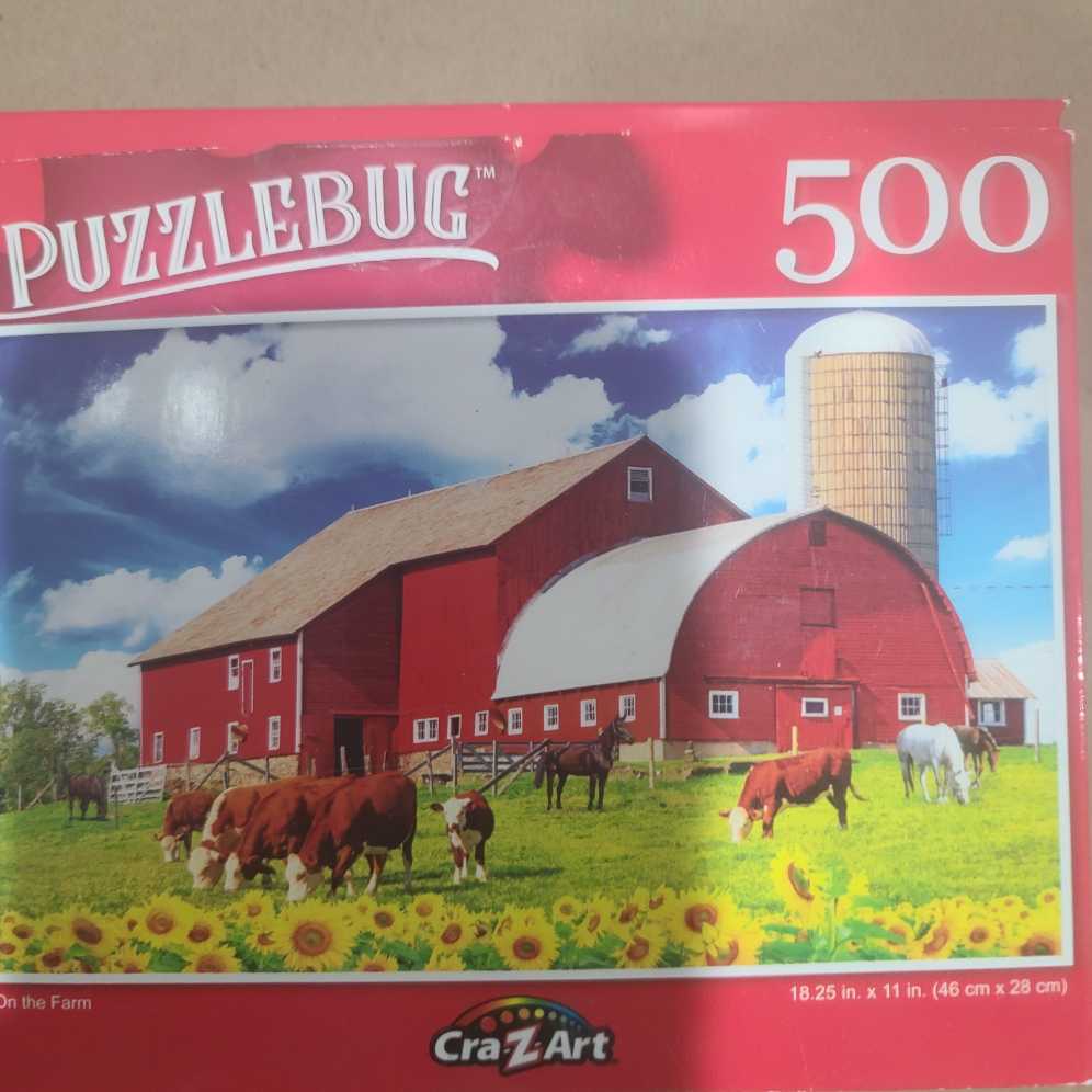 The Great Space Race