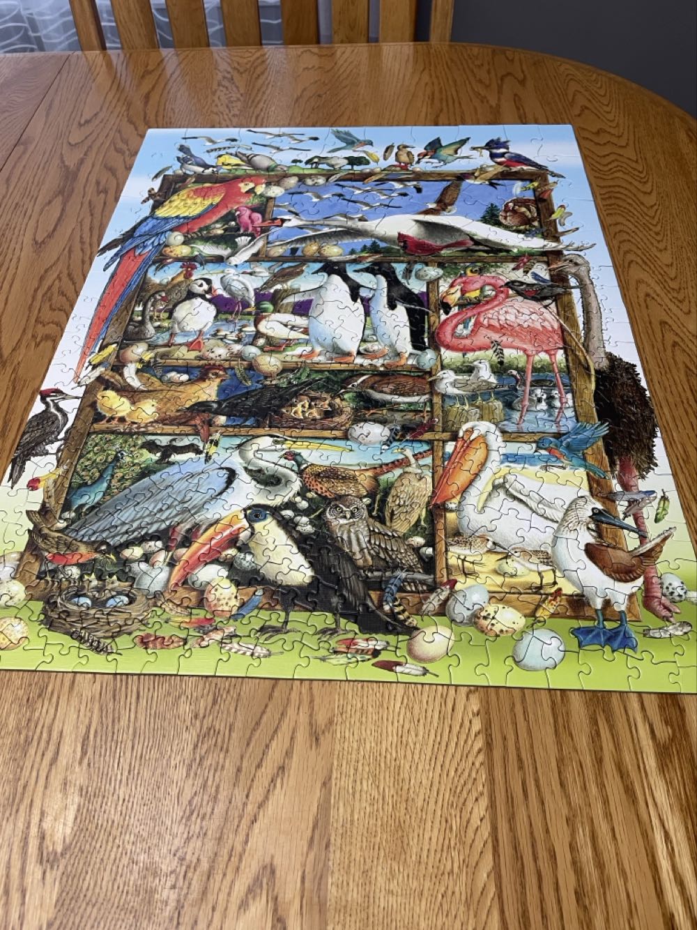 Birds Of The World - Cobble Hill puzzle collectible [Barcode 625012545815] - Main Image 3