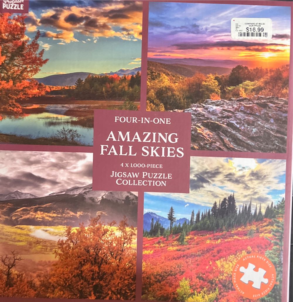 Aquarius Harry Potter Puzzle Hogwarts Express Train Ticket Piece Jigsaw Puzzle Officially Licensed Harry Potter Merchandise & Collectibles Glare Free 20x28in