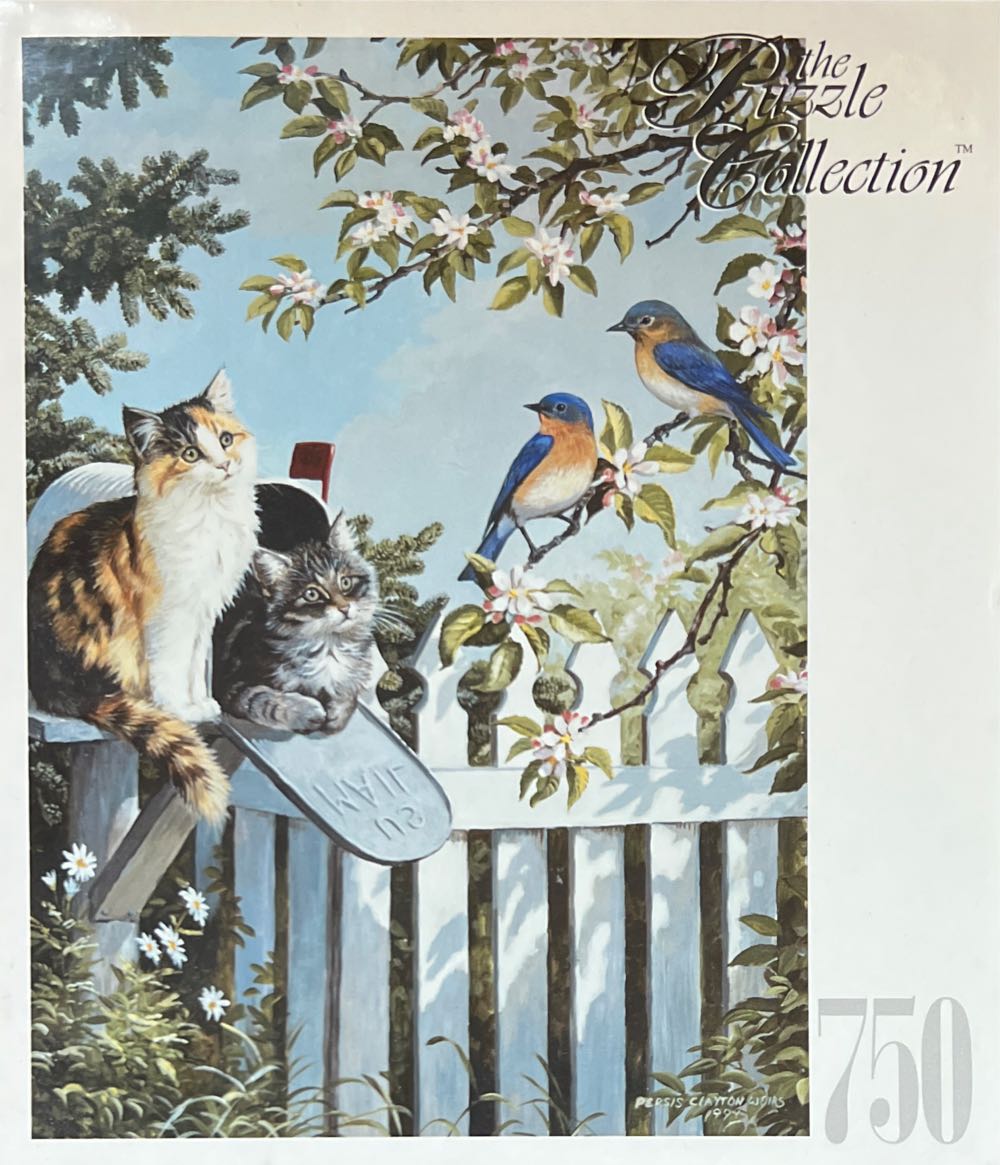 Pretty Woman 10th Anniversary Edition