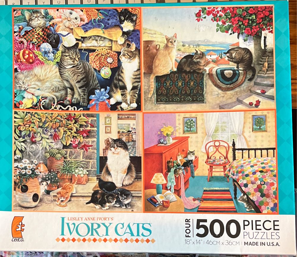 Backyard Retreat BMP