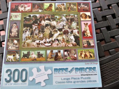 Ravensburger Spirit Adventure With Lucky