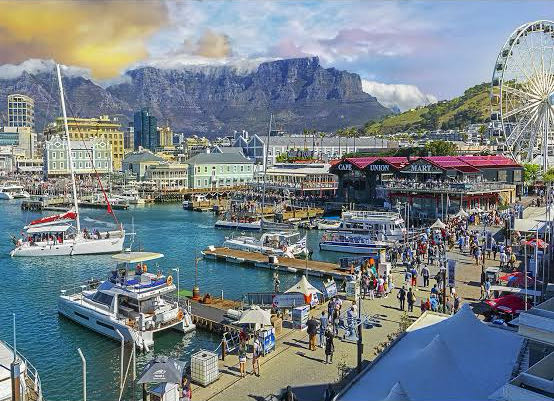 Splosh Leopard Jungle 1000pc Gf Health