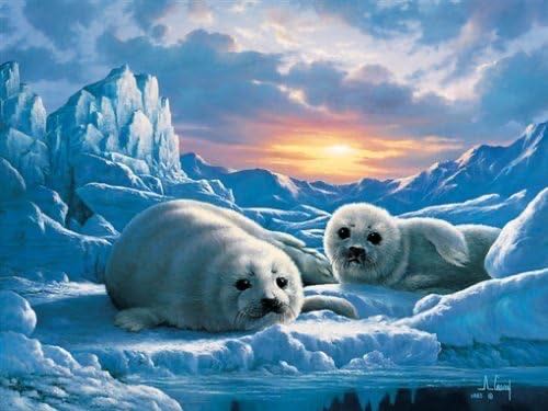 Image 108737