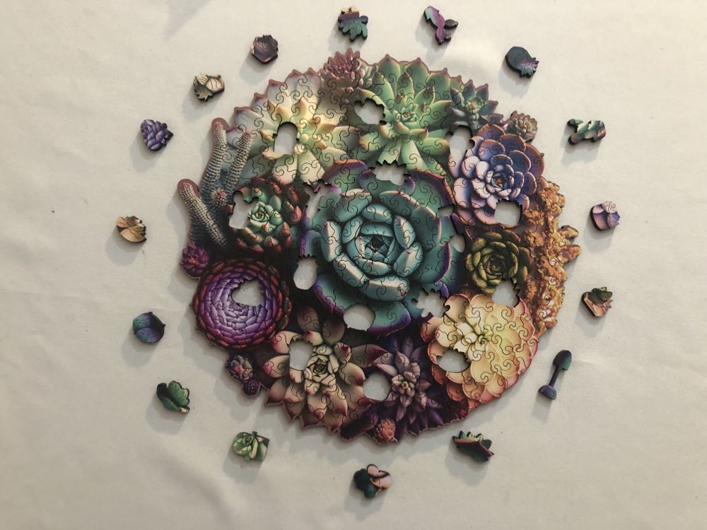 Succulent World  puzzle collectible - Main Image 4